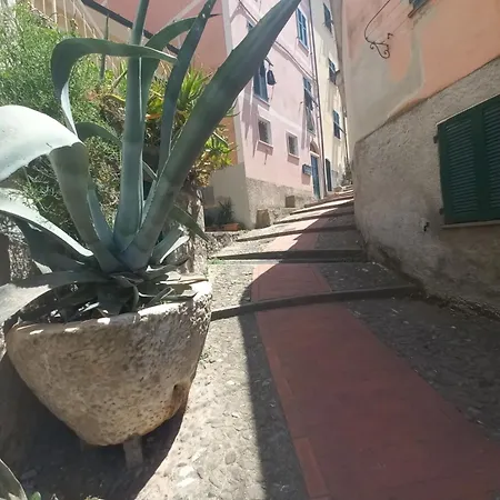Casa Agave Apartment