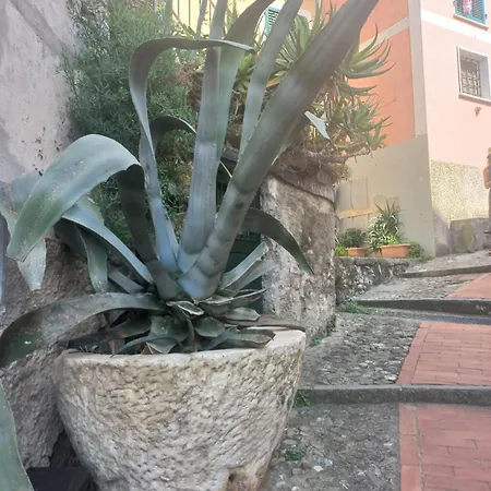 Apartment Casa Agave Tellaro